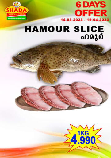 Bahrain Shada Fish offers in D4D Online. Special Offer. . Till 19th April