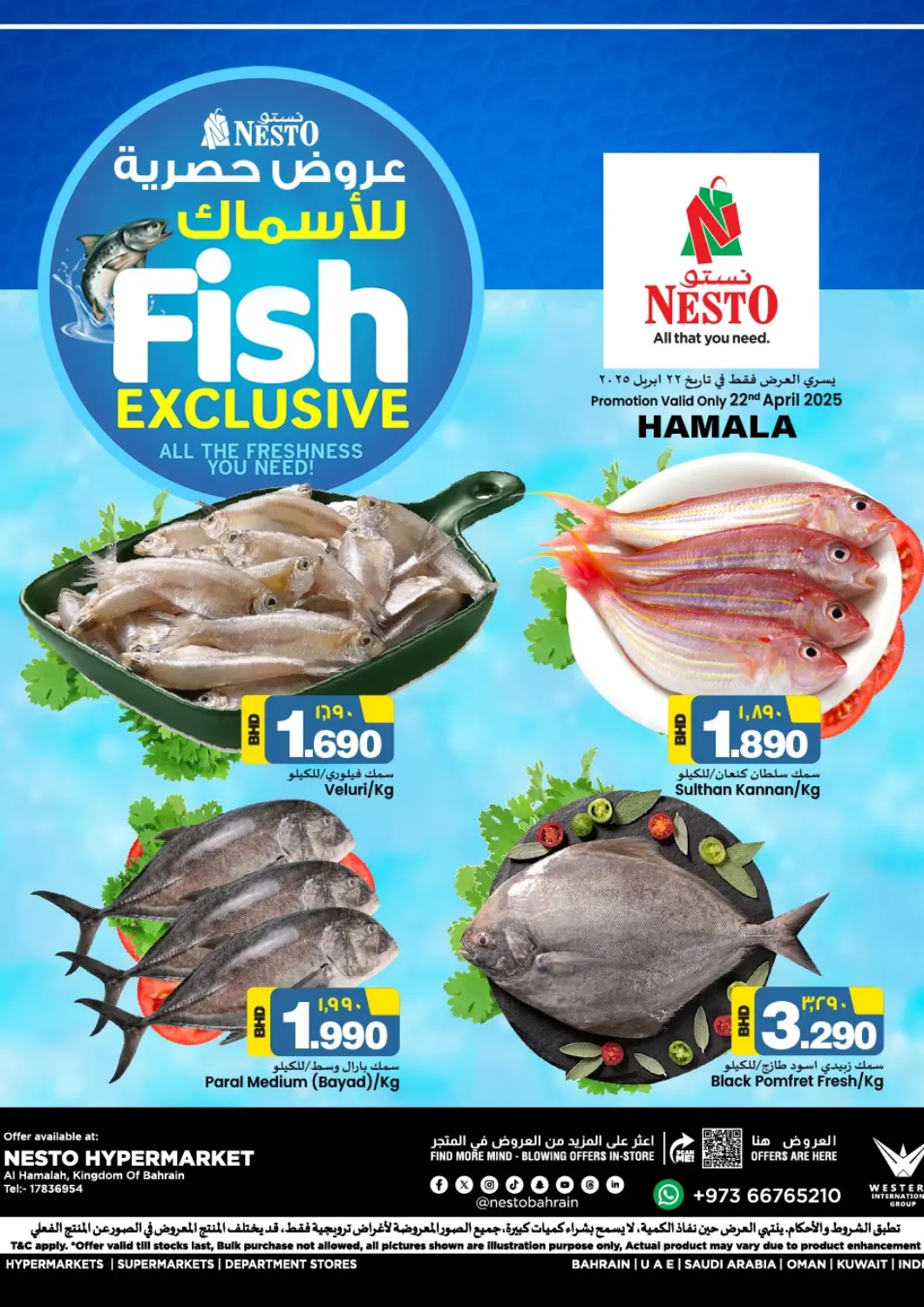 Bahrain NESTO  offers in D4D Online. Fish Exclusive. . Only On 22nd April