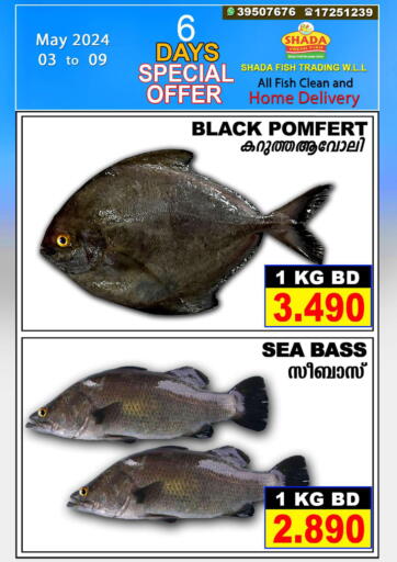 Bahrain Shada Fish offers in D4D Online. 6 Days Special Offer. . Till 9th May