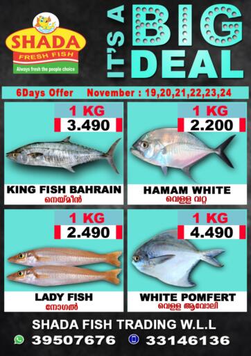 Bahrain Shada Fish offers in D4D Online. It's A Big Deal. . Till 24th November