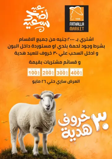 Special Offer