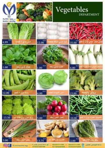 Egypt - Cairo Euromarche offers in D4D Online. Vegetable Department. . Only On 17th May
