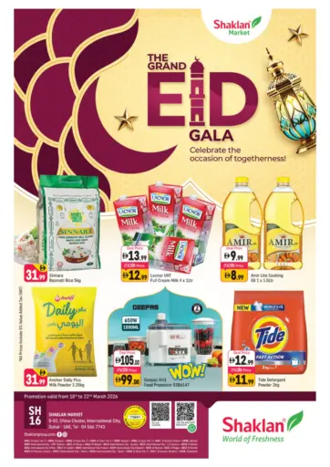 B-02 China Cluster,IC