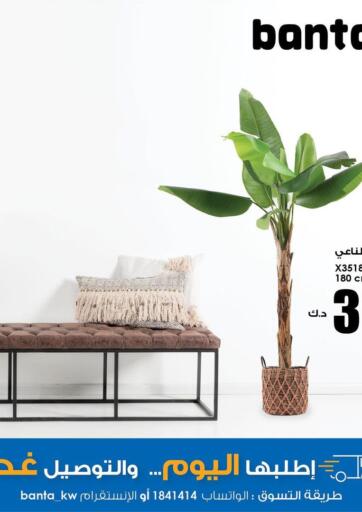 Kuwait Banta Furniture offers in D4D Online. Special Offer. . Until Stock Last