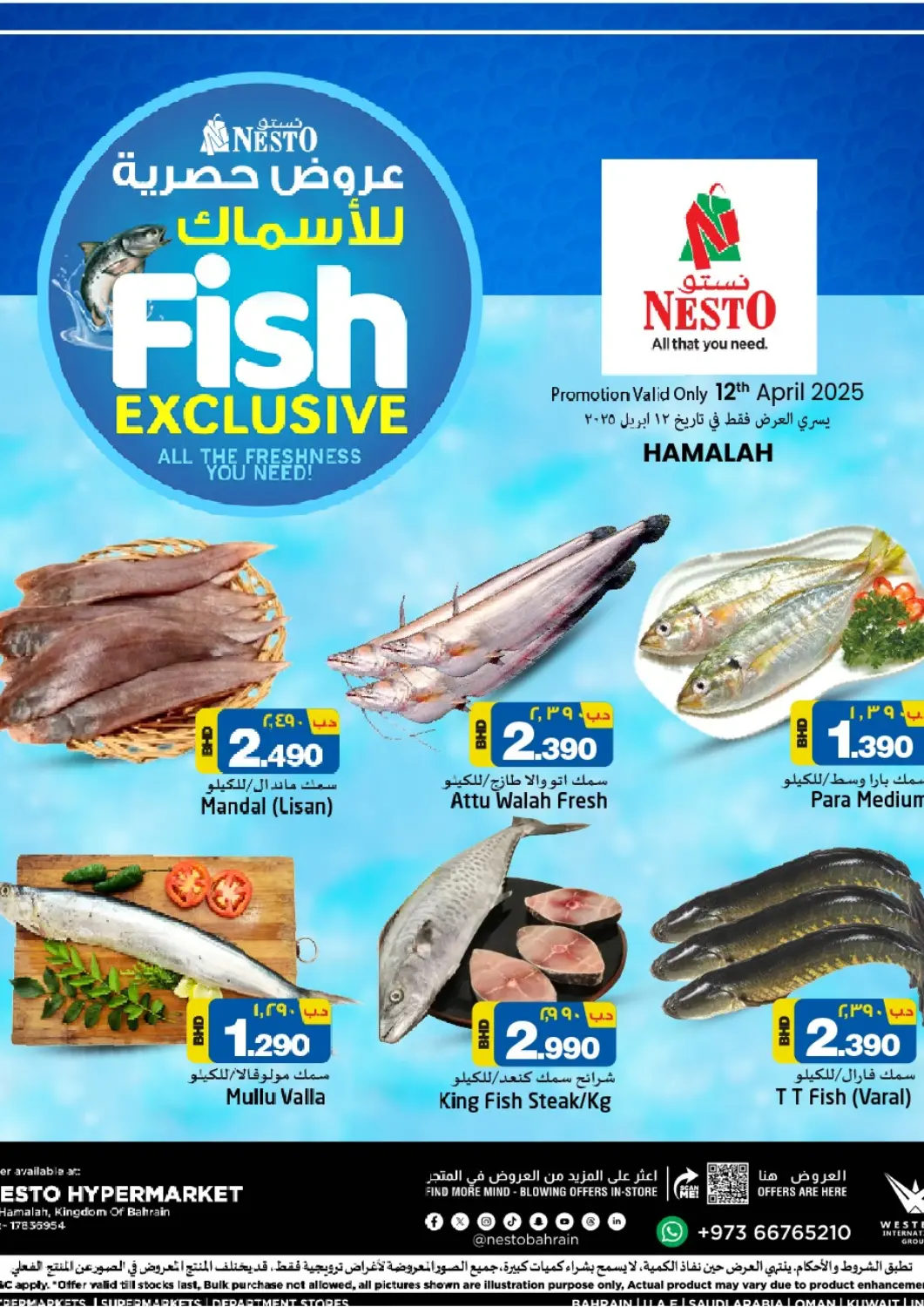 Bahrain NESTO  offers in D4D Online. Fish Exclusive. . Only On 12th April
