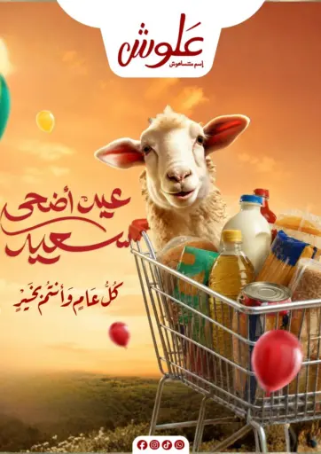 Special Offer