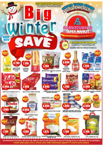 Big Winter Sale