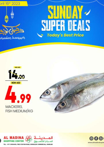 UAE - Sharjah / Ajman Al Madina  offers in D4D Online. Muwaileh Commercial - Sharjah. . Only On 16th April