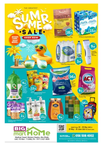 BIGmart - Madinat Zayed in UAE Offers - United Arab Emirates Madinat Zayed