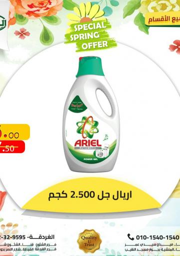 Egypt - Cairo Al Habib Market offers in D4D Online. Special Spring Offers. . Until Stock Last