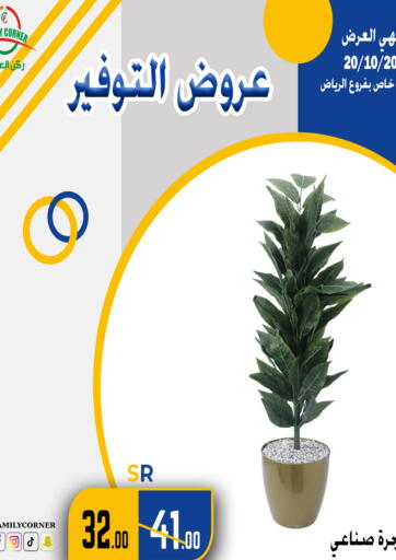 KSA, Saudi Arabia, Saudi - Riyadh Family Corner offers in D4D Online. Saving Offers. . Till 20th October