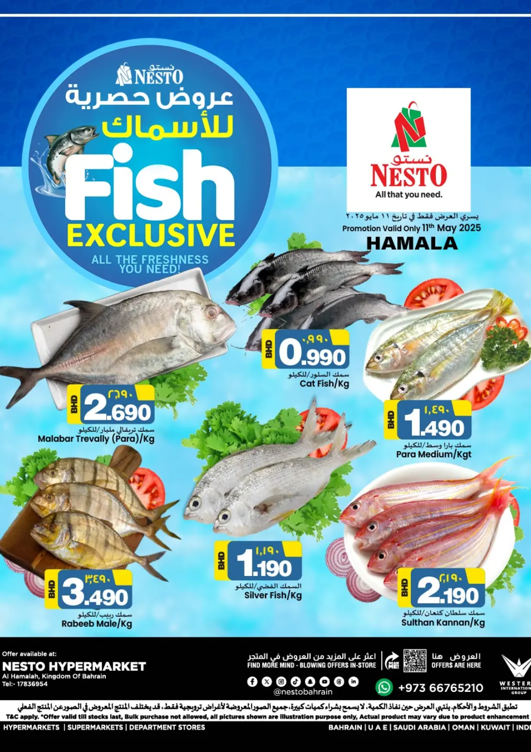 Bahrain NESTO  offers in D4D Online. Fish Exclusive @ Al Hamalah. . Only On 11th May
