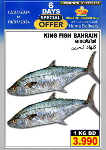 Bahrain Shada Fish offers in D4D Online. 6 Days Special Offer. . Till 18th July
