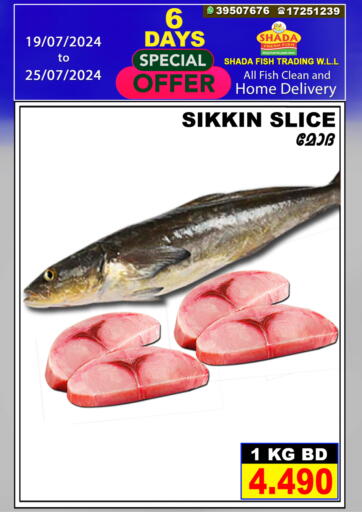 Bahrain Shada Fish offers in D4D Online. 6 Days Special Offer. . Till 25th July