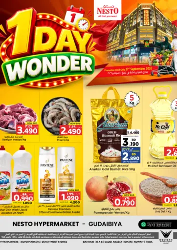 1 Day Wonder
