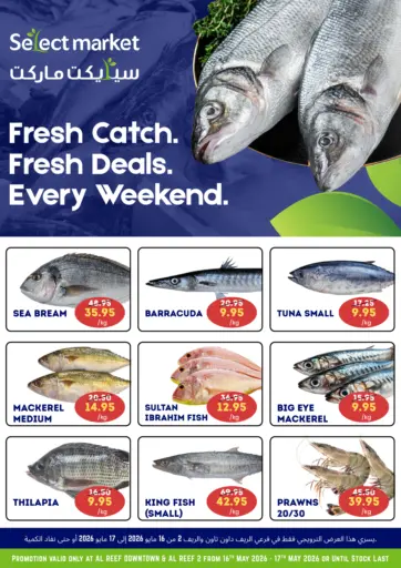 Al Reef Downtown & Al Reef 2