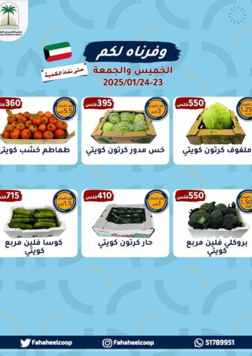 Kuwait - Kuwait City Al Fahaheel Co - Op Society offers in D4D Online. Special offer. . Till 24th January