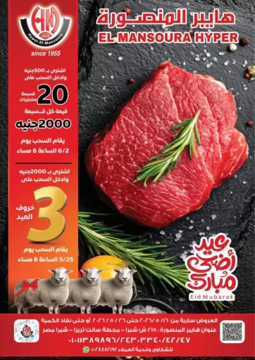 Special Offers