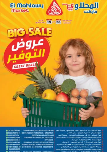 المحلاوي ماركت - عروض التوفير in Egypt Offers - Egypt عروض التوفير