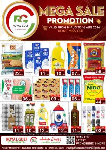 Mega Sale Promotion