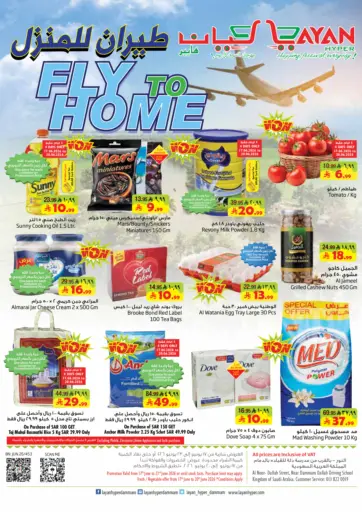 Fly To Home