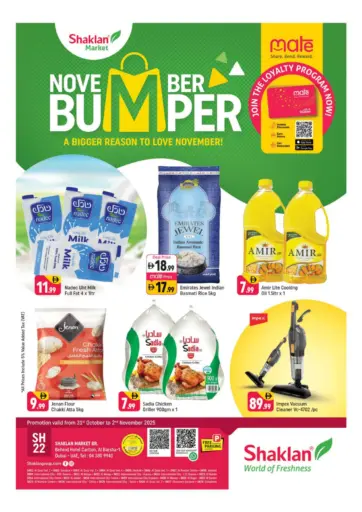 البرشاء ١، دبي