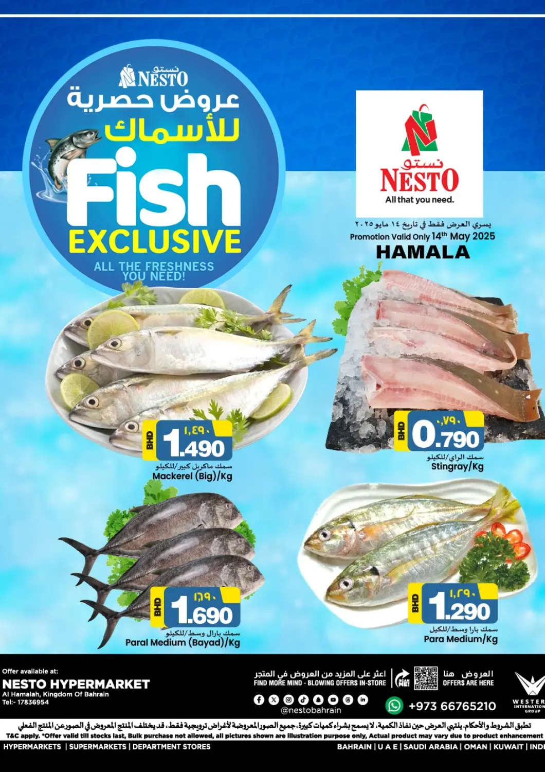 Bahrain NESTO  offers in D4D Online. Fish Exclusive @ Al Hamalah. . Only On 14th May