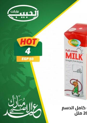 Egypt - Cairo Al Habib Market offers in D4D Online. Special Offer. . Until Stock Lasts