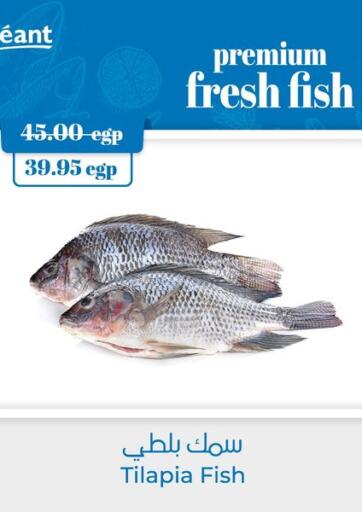 Egypt - Cairo Géant Egypt offers in D4D Online. Fresh Fish. . Until Stock Lasts