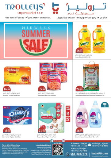 UAE - Sharjah / Ajman Trolleys Supermarket offers in D4D Online. Summer Sale. . Till 19th june