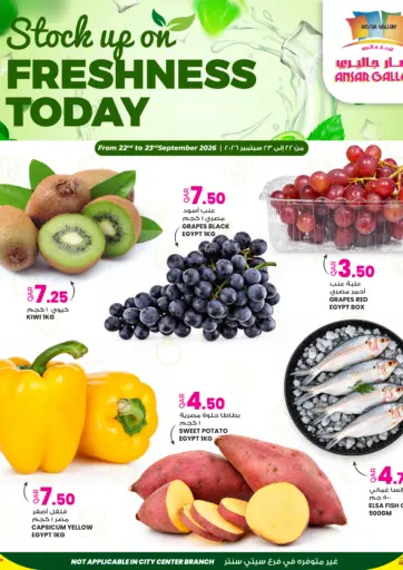 Stock Up On Freshness Today