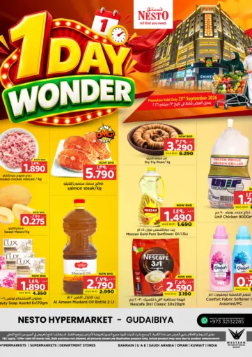 1 Day Wonder
