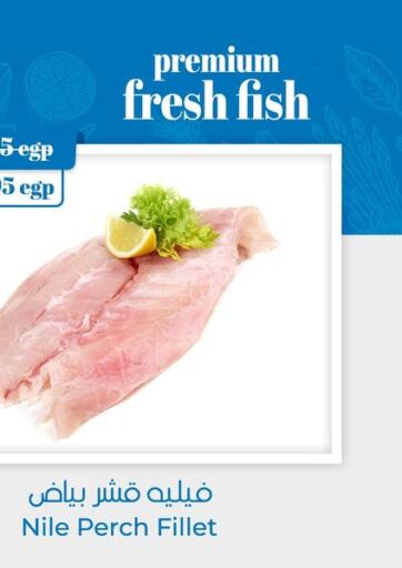 Egypt - Cairo Géant Egypt offers in D4D Online. Premium Fresh Fish. . Until Stock Lasts