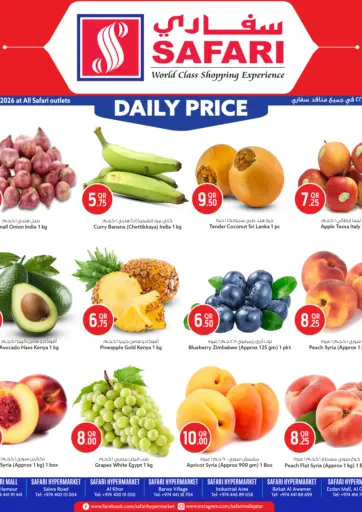 Daily Price