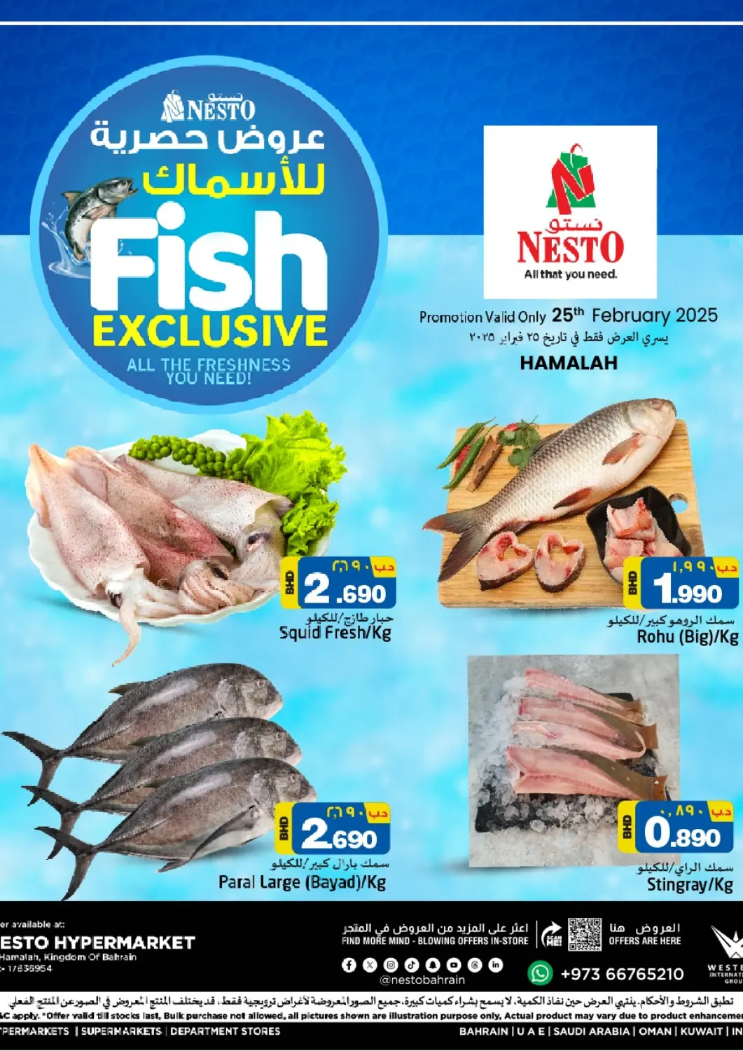 Bahrain NESTO  offers in D4D Online. Fish Exclusive. . Only On 25th February