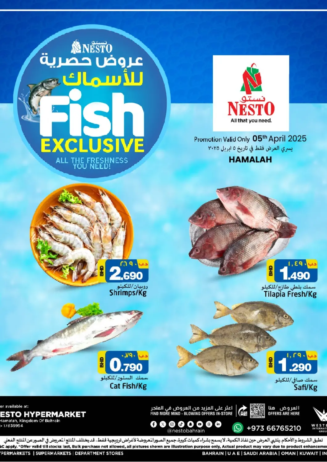 Bahrain NESTO  offers in D4D Online. Fish Exclusive. . Only On 5th April