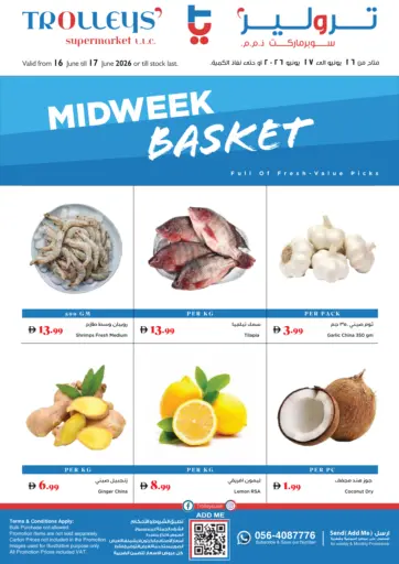 Midweek Basket