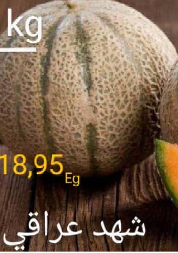 عروض المحلاوي ماركت Egypt - القاهرة في دي٤دي أونلاين. عرض خاص. . Until Stock Last
