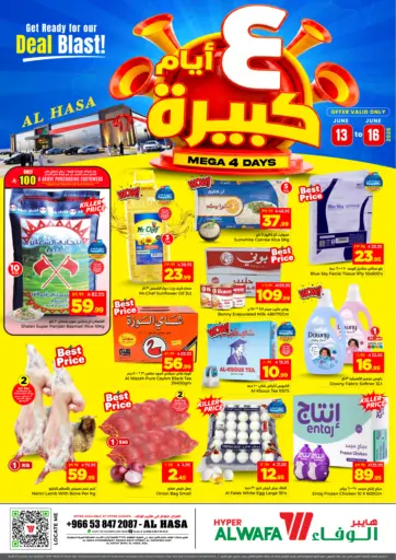 Mega 4 Days