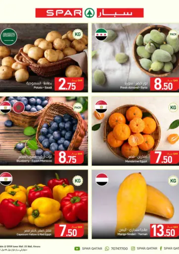 Special Offer