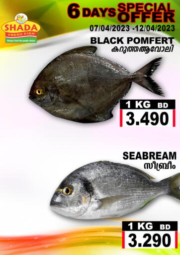 Bahrain Shada Fish offers in D4D Online. Special Offer. . Till 12th April
