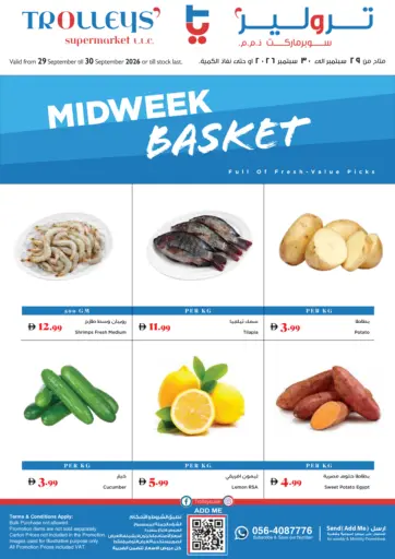 Midweek Basket