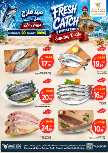Fresh Catch