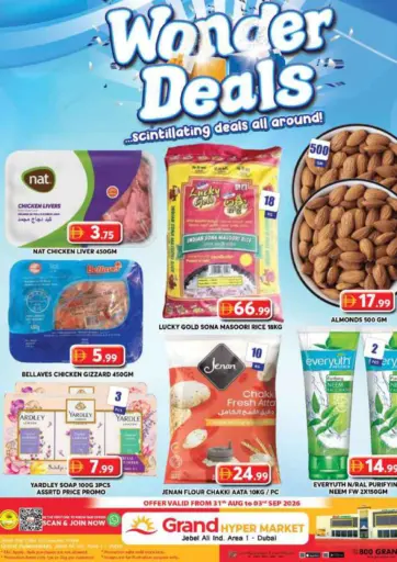 Jebel Ali Industiral Area1