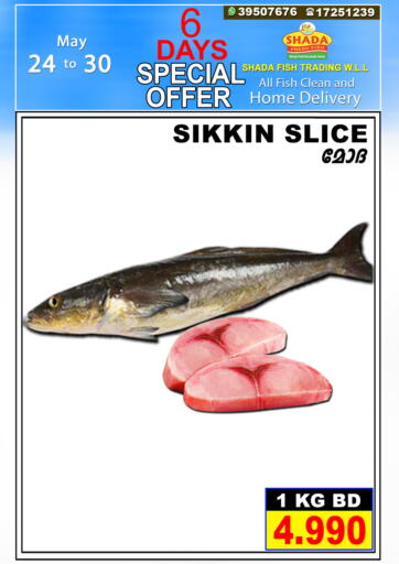Bahrain Shada Fish offers in D4D Online. 6 Days Special Offer. . Till 30th May