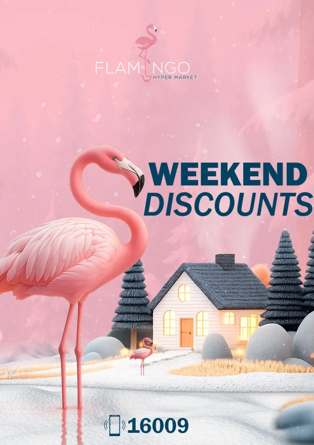 Egypt - Cairo Flamingo Hyper Market offers in D4D Online. Weekend Discounts. . Till 18th January