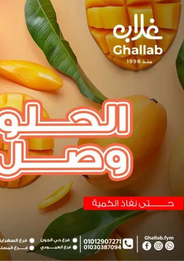 Ghallab Market - Special Offer in Egypt Offers - Egypt Special Offer
