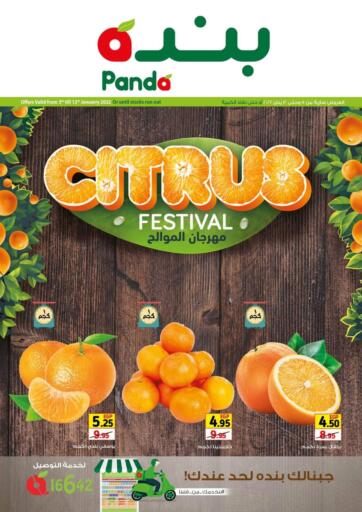 Egypt - Cairo Panda  offers in D4D Online. Citrus Festival. . Till 12th January