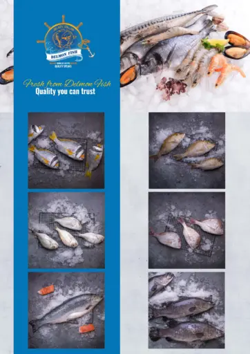 Delmon Fish - Fresh From Delmon in Bahrain Fresh From Delmon