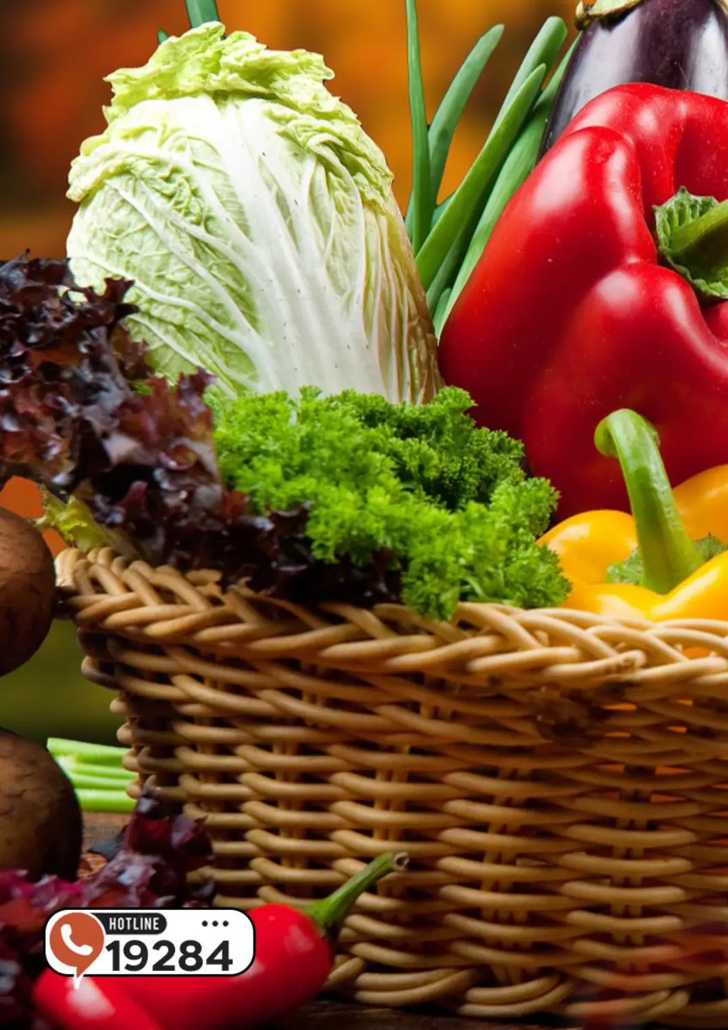 Egypt - Cairo Arafa Market offers in D4D Online. Special Offer. . Only On 17th June